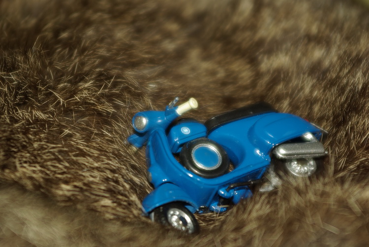 Test macro: vecchio zoom Pentax F 28/80 montato su  K10D